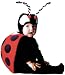 Kid's Toddler Tom Arma Lady Bug Costume (Sz: 2-4T)