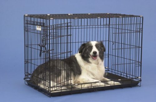 Precision Pet 1125-GRC5000BLK 2-Door Black Great Crate 5000 - 42 x 28 x 31 Inch