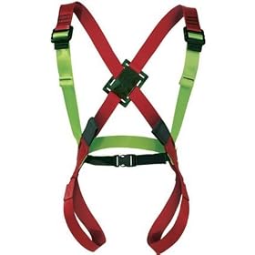 Edelweiss Wicky Kids Full-Body Harness