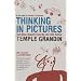 Thinking in Pictures