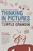 Thinking in Pictures