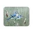 12 x 16 Inch Blue Jays Tempered Glass Kitchen Cutting Board by McGowan Manufacturing