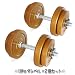���^���_���x��10kg 2�Z�b�g �i�S�[���h�j SMD-10GD*2