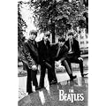 Music - Commercial Rock Posters: Beatles - Pose - 91.5x61cm