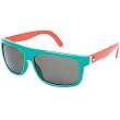 Dragon Alliance Wormser Men's Medium Fit Outdoor Sunglasses - Teal/Melon/Grey Ionized