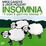 Insomnia : I Cant' Get No Sleep !