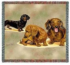 Dachshund Puppies - Robert May - Lap Square Cotton Woven Blanket Throw - Made in The USA (54x54)