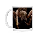 LRDS-108 Garden Spider-female Photo Mugs