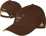 Chicago Bulls NBA Series Team Logo Knit Hat