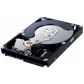 Samsung 1 TB SATA II Hard Drive
