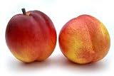 Artificial Nectarine, Box of 12 Artificial Nectarine, Box of 12