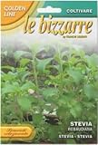 【種子】【FRANCHI社】【128/20】ステビア
