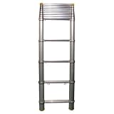 Buy 12' Telescopic Ladder by Buffalo Tools
