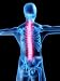 Back Pain Relief