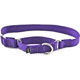 Premier Nylon Martingale Collar - Large - Purple