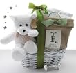 Grow-A-Tree Baby Gift Basket