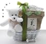 Grow-A-Tree Baby Gift Basket