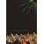 LINEAR MOTOR CITY [DVD]