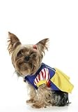 2PC Snow White Cute Dog Holiday Pet Costume