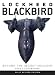 Lockheed Blackbird: Beyond the Secret Missions (General Aviation)
