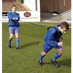 Pro Power Speed Resistor Harness