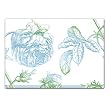 Cabbage Roses - Designer Note Cards (set of 10)