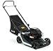 Hayter Spirit 4 Wheel Push Petrol Rotary Mower (4 Stroke Briggs & Stratton Engine, 41cm Cut, Complete With Collection)