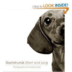 Dachshunds Short and Long