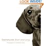 Dachshunds Short and Long