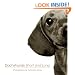 Dachshunds Short and Long