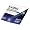 Purple/Blue