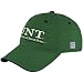The Game North Texas Mean Green Green 3-D Team A-Flex Flex Fit Hat