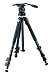 Swarovski Optiks Tripod 2 with FH101 Head