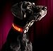 ILLUMISEEN LED Dog Collar USB Rechargeable - Bright & High Visibility Lighted Glow Collar for Pet Night Walking -Weatherproof, in 6 Colors & 6 Sizes (Pink Large)