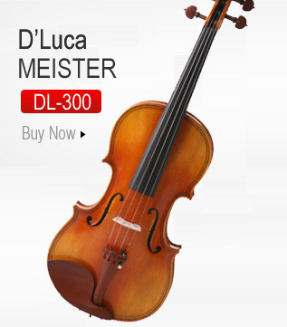 Violin D'Luca Super Special, buy it here.