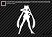 (2x) Sailor Moon - Sticker - Decal - Die Cut