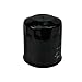 Genuine Ferris Replacement Oil Filter with Protective Cap for Lawn Mowers / 1719168X1, 5900500, 5900605, 5900606