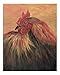 French Country Rooster Giclee Poster Print by Nadine M. Rippelmeyer, 16x20