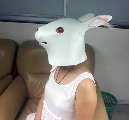 E-joy® Halloween Mask Collection