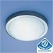 Energy Saving Flush Light