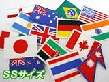 【WAPPEN】アイロン貼付ワッペン★国旗SS (ネパール)