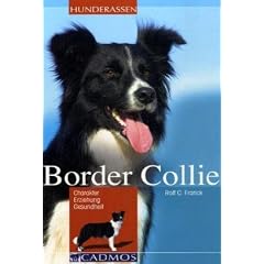Border Collie: Charakter Erziehung Gesundheit