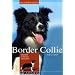 Border Collie: Charakter Erziehung Gesundheit