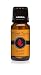 Spiced CiderÂ Premium Fragrance Oil - Scented Oil - 10ml