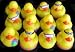 One Dozen (12) Mini BEACH Rubber Duckie Ducky Duck Party Favors