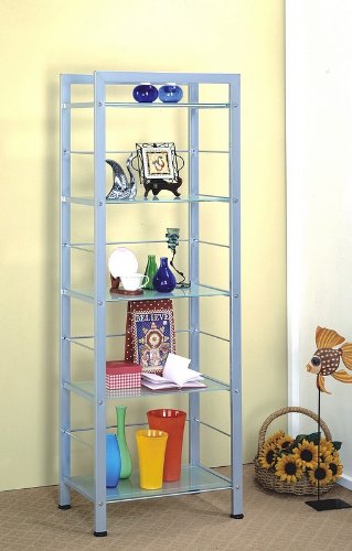 Modern Contemporary Metal and Glass 5-Tier Bookcase Shelf