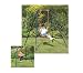 Hedstrom 2-in-1 Swing