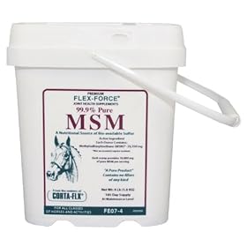  FLEX FORCE MSM 99.9 PURE 4lbs: Sports & Outdoors