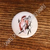 Birds Parrots Parrot Bird Drawer Pulls Knobs