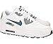 NIKE Men's Air Max 90 Ltr Running Shoe